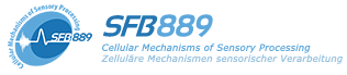 SFB889 Cellular Mechanisms of Sensory Processing